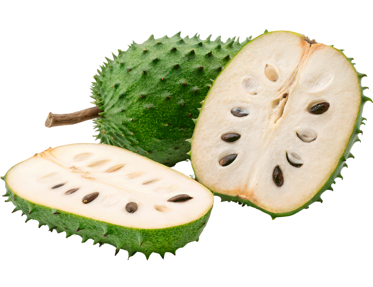 guanabana-3