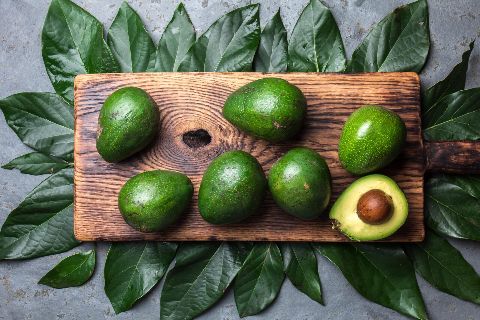 aguacate4